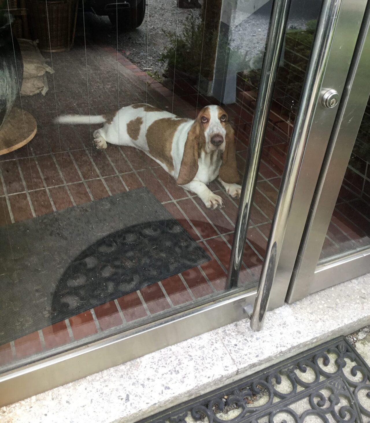 店舗改装♬