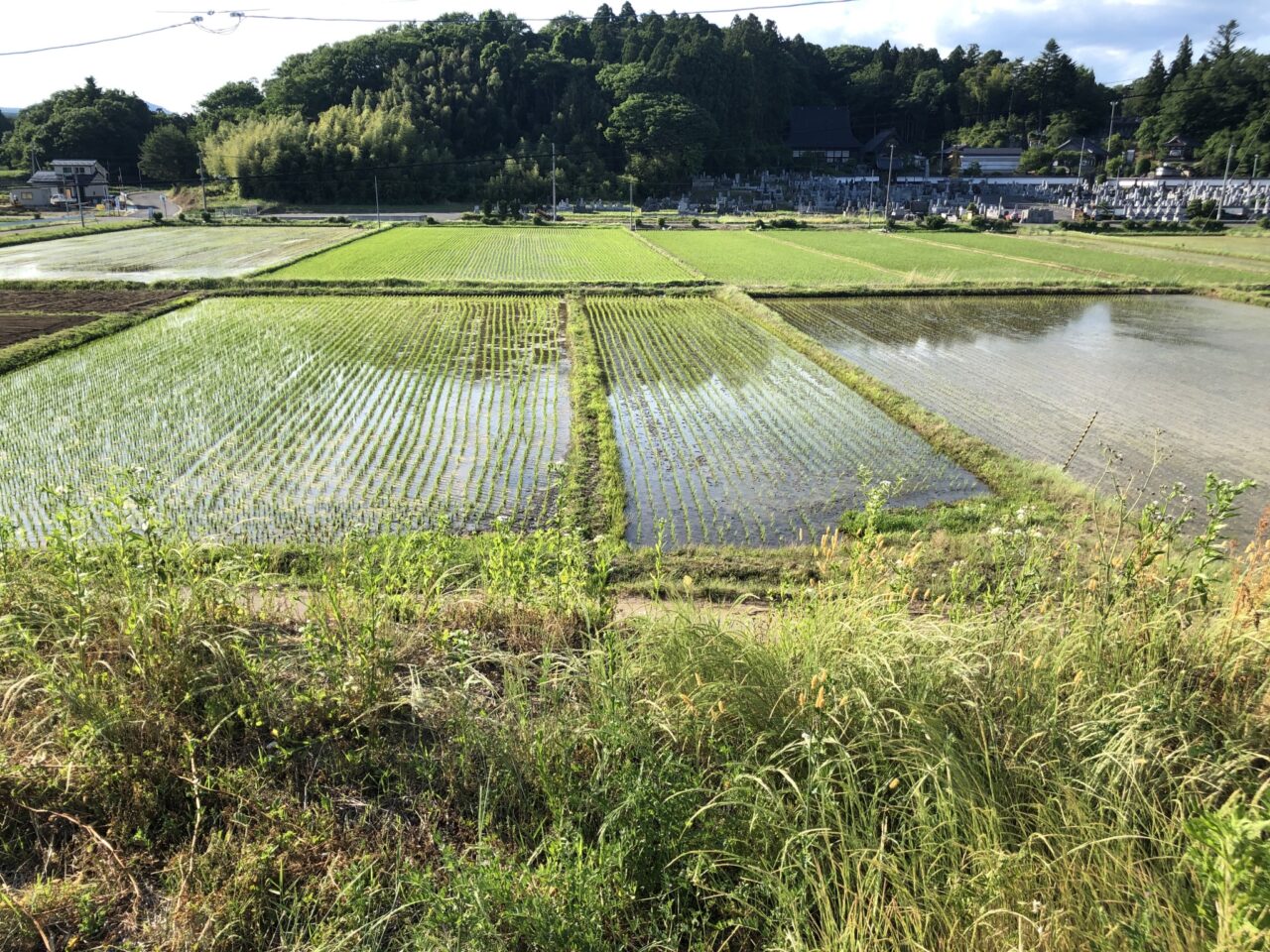 ちょっと街外れに住む。