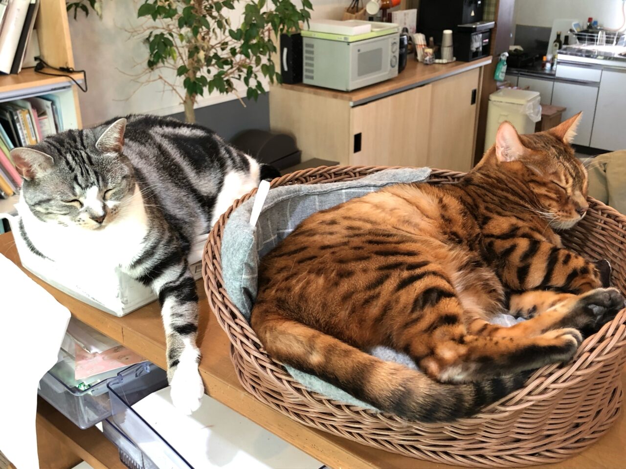 先週ハイライト☆