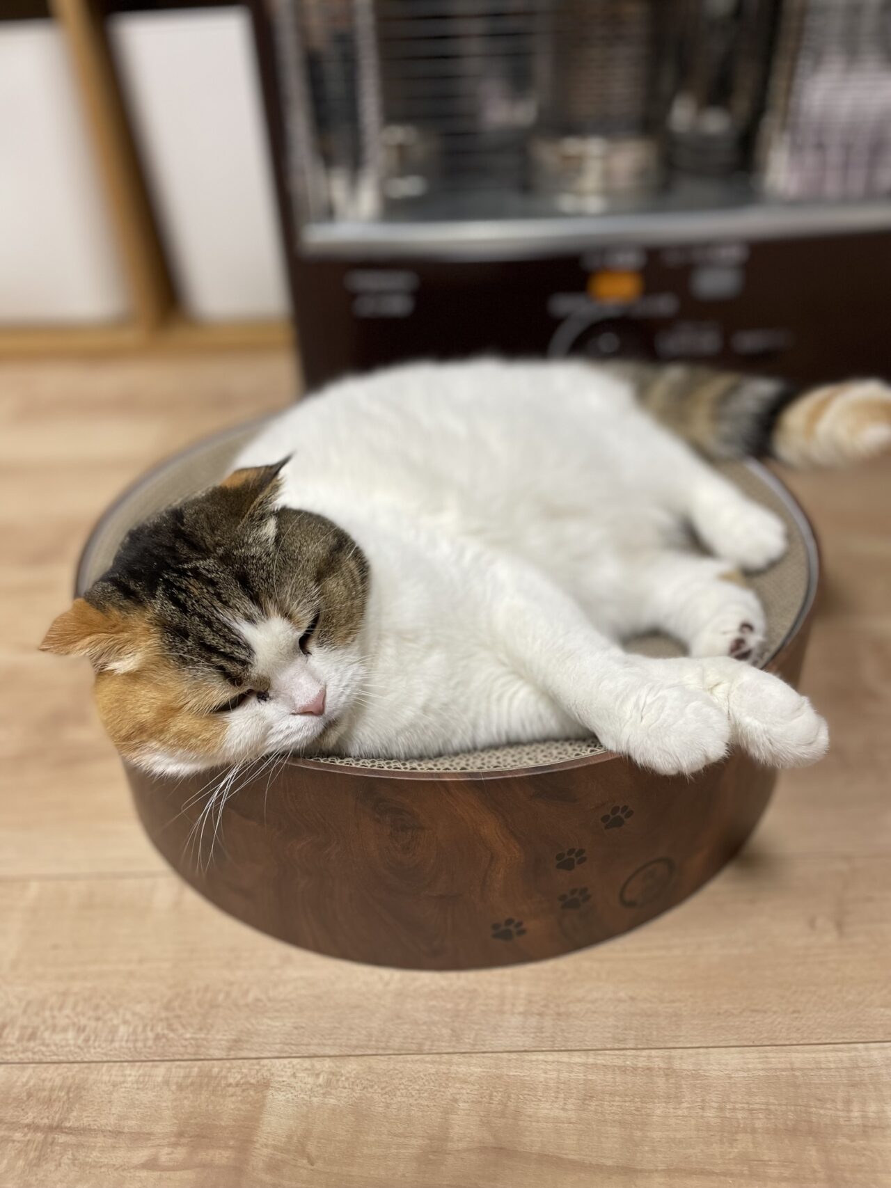 寒さ対策