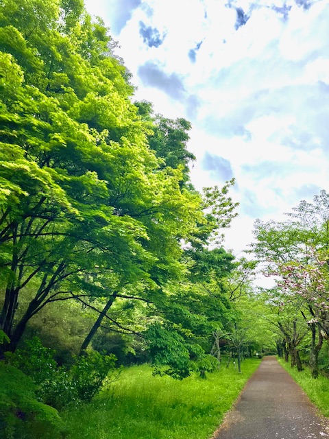 あっという間に終わるGW