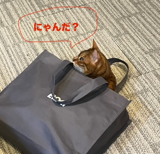 リノベ★もうすぐお引き渡し