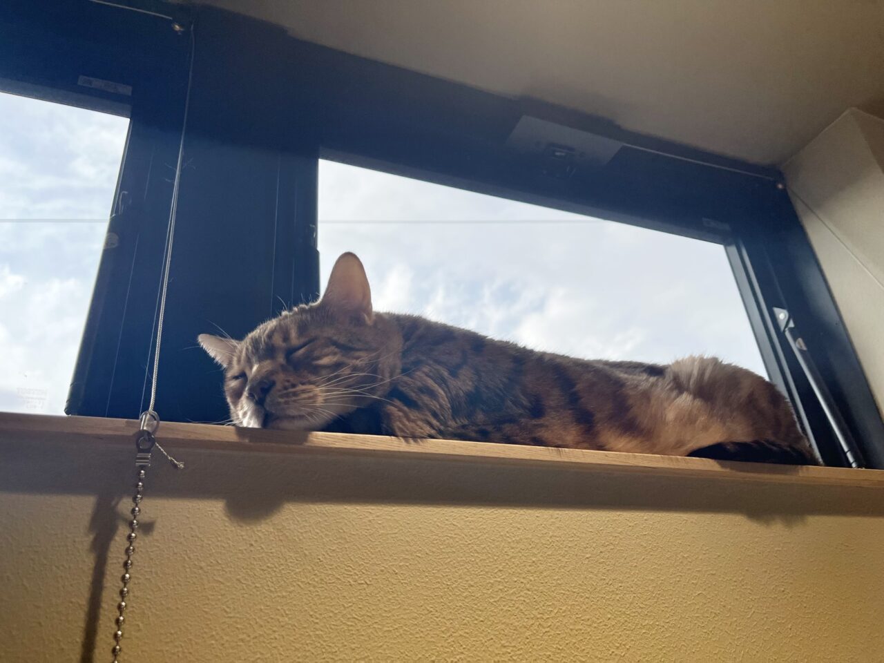 リノベーション工事続々🏠
