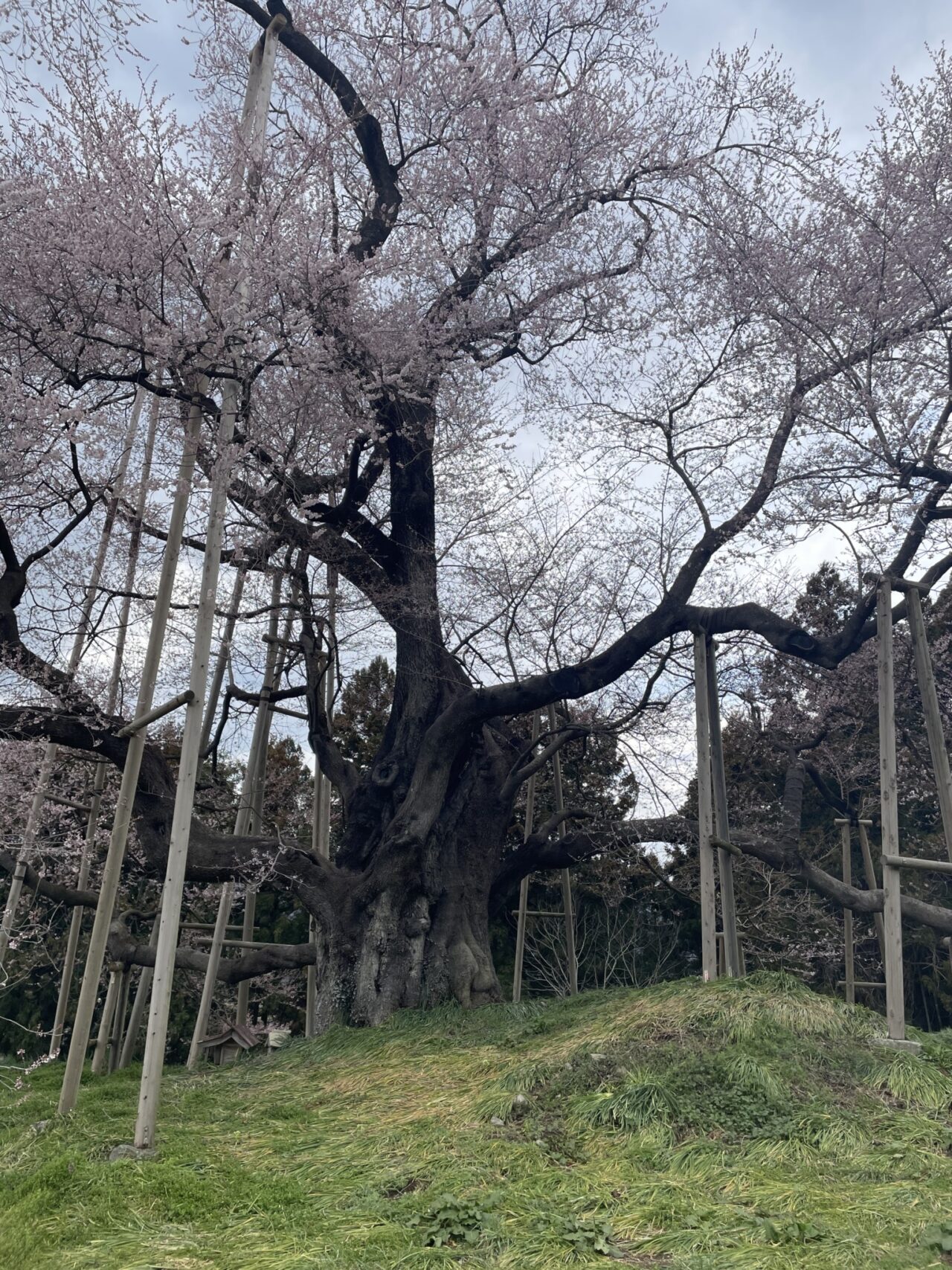 おすすめの珈琲屋さん