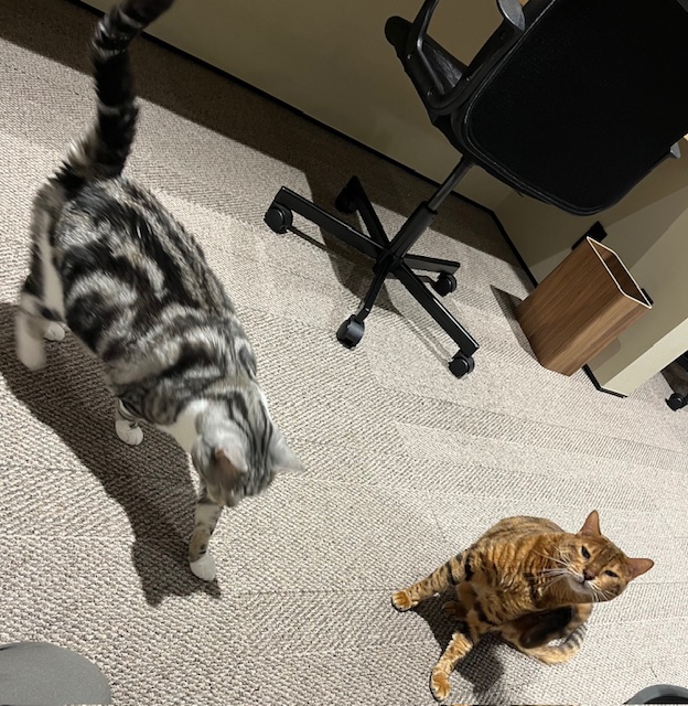 お休みでリフレッシュしました！！