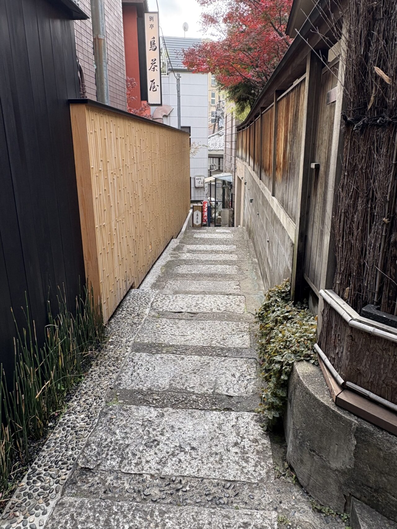 新年🎍　おめでとうございます。