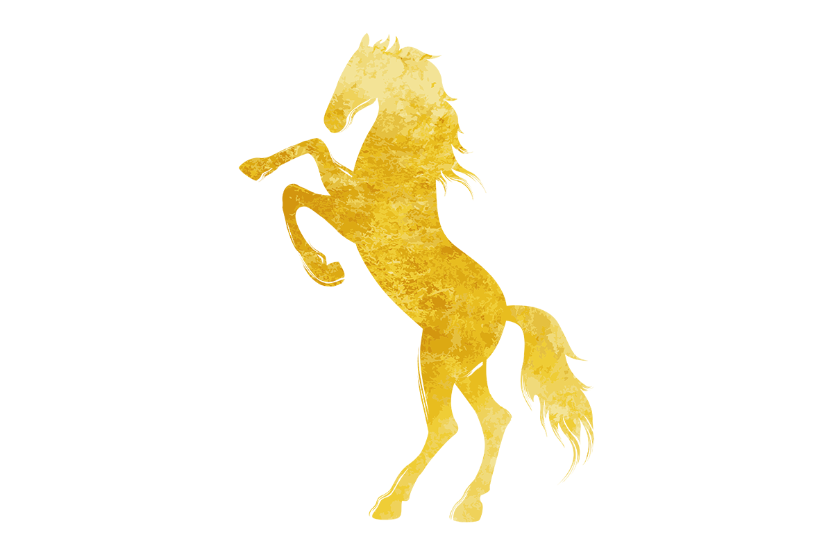 2026年は何事も馬(うま)くいく年でありますように･･･🏇