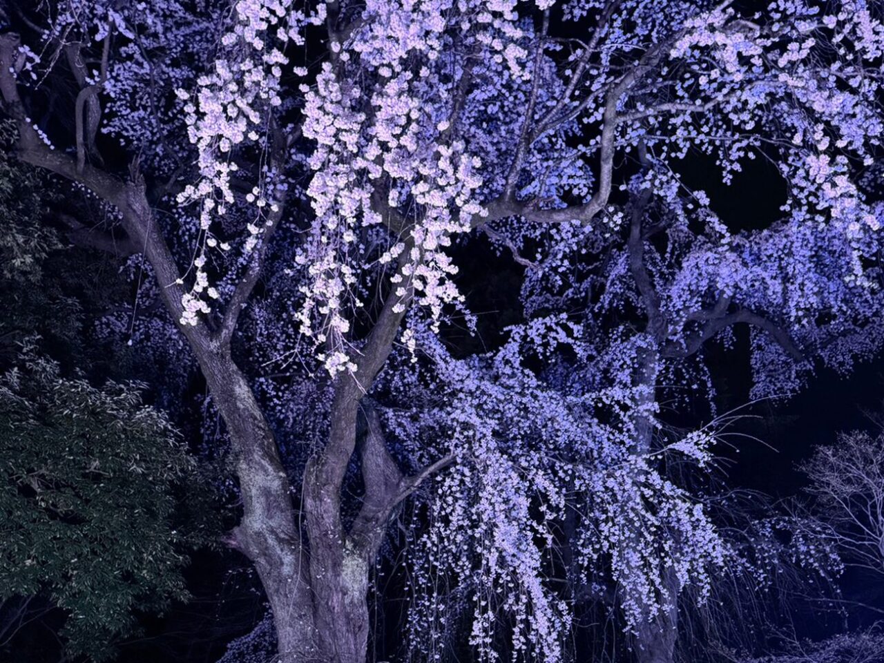 北欧家具のお話💺🔦