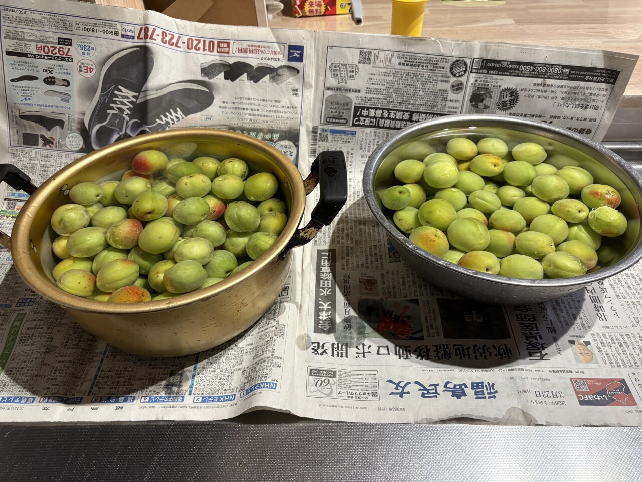 今が旬の梅・・・