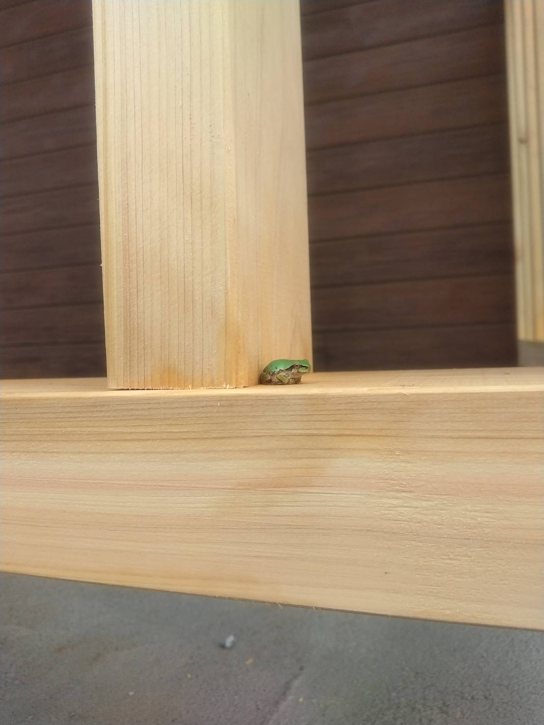 社内検査に行ってきました